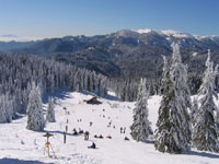 Jahorina